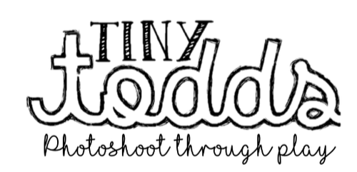 Tinytodds Logo for Blog